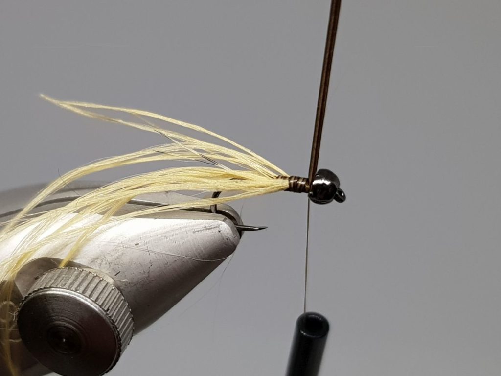 BWO nymph