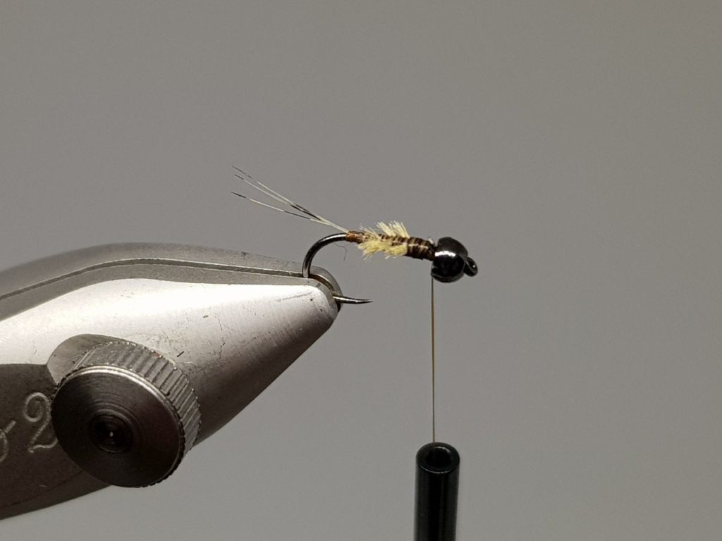 BWO nymph