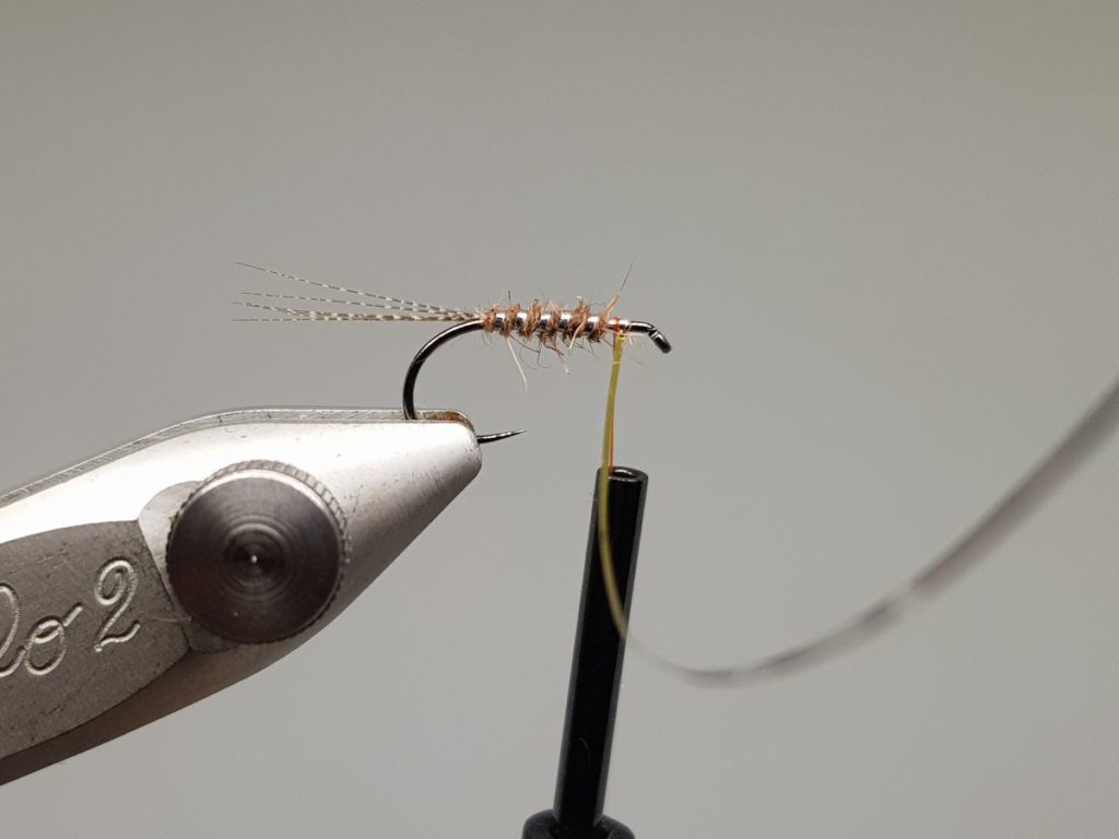 March Brown Wet