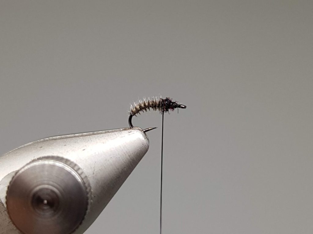 F-Fly