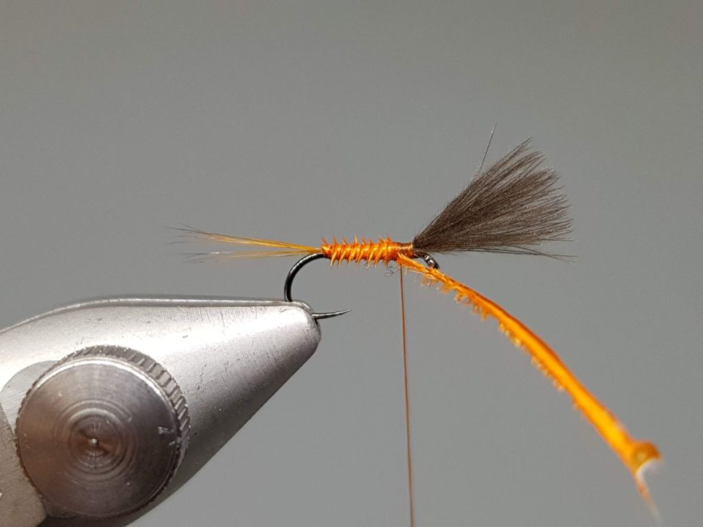 Rusty mayfly