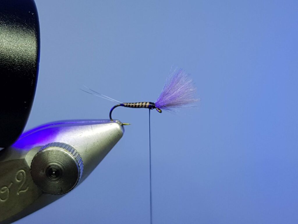 Quill BWO Emerger