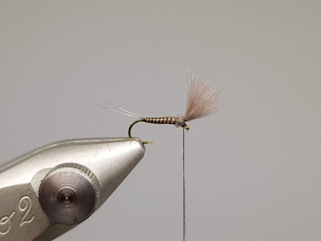 Quill BWO Emerger