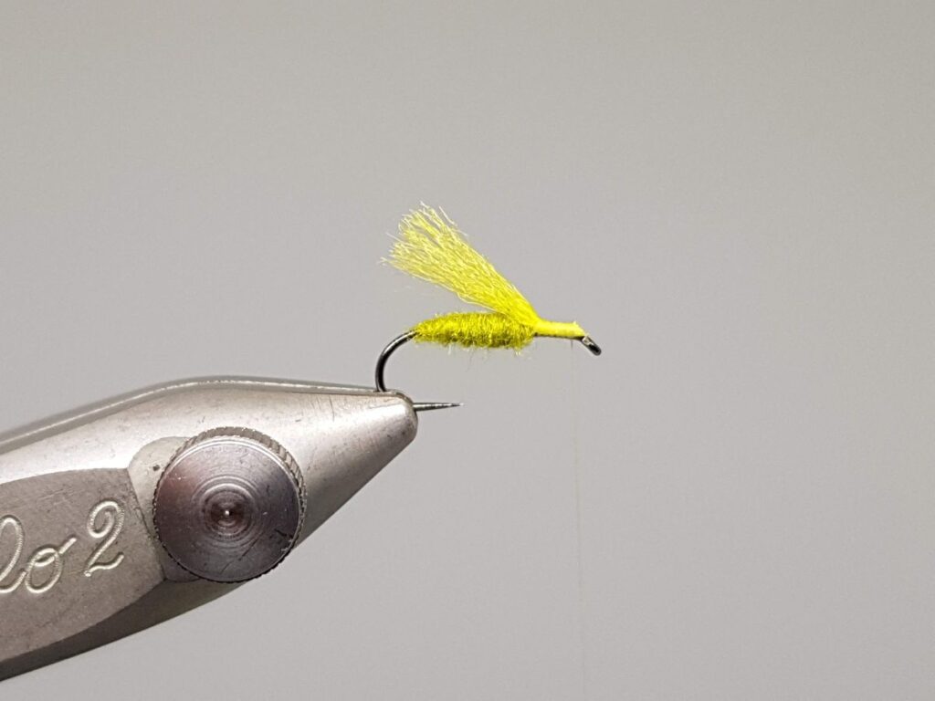 Winged Yellow Sally
