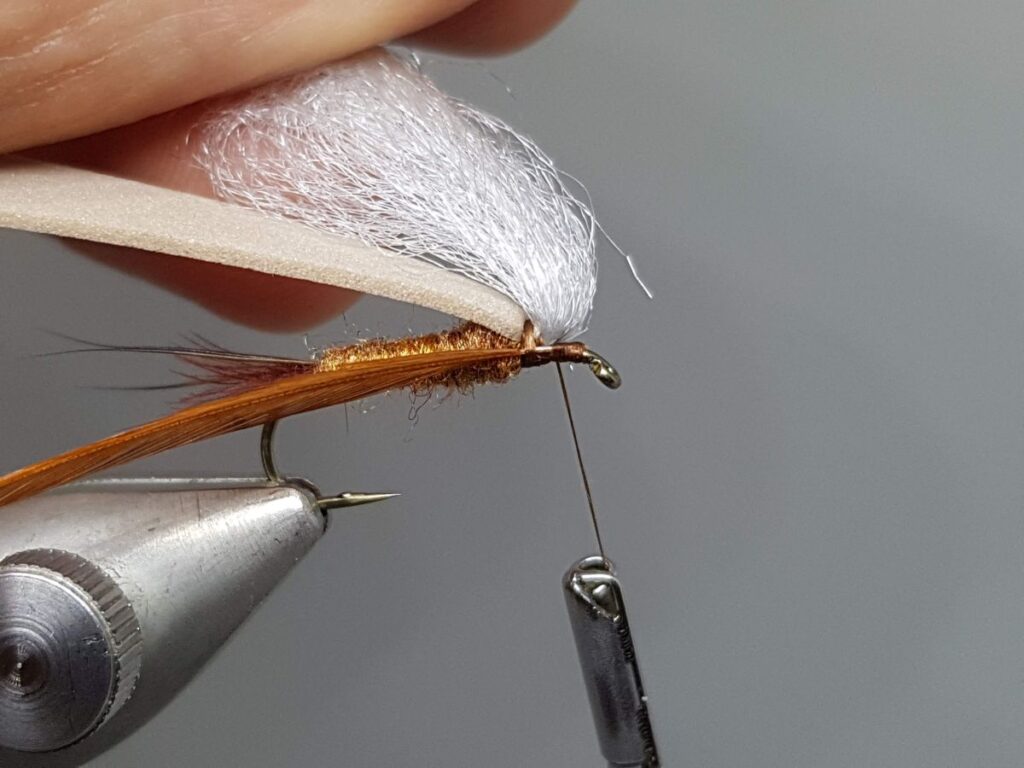 Late March Brown