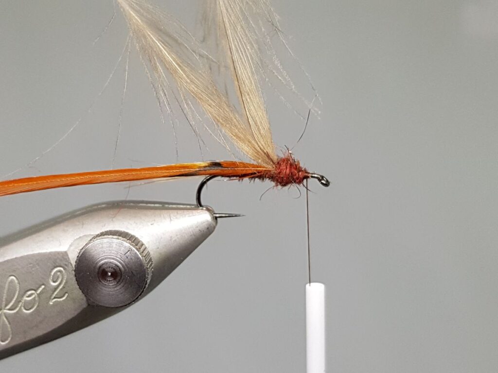 CDC Hatching Mayfly