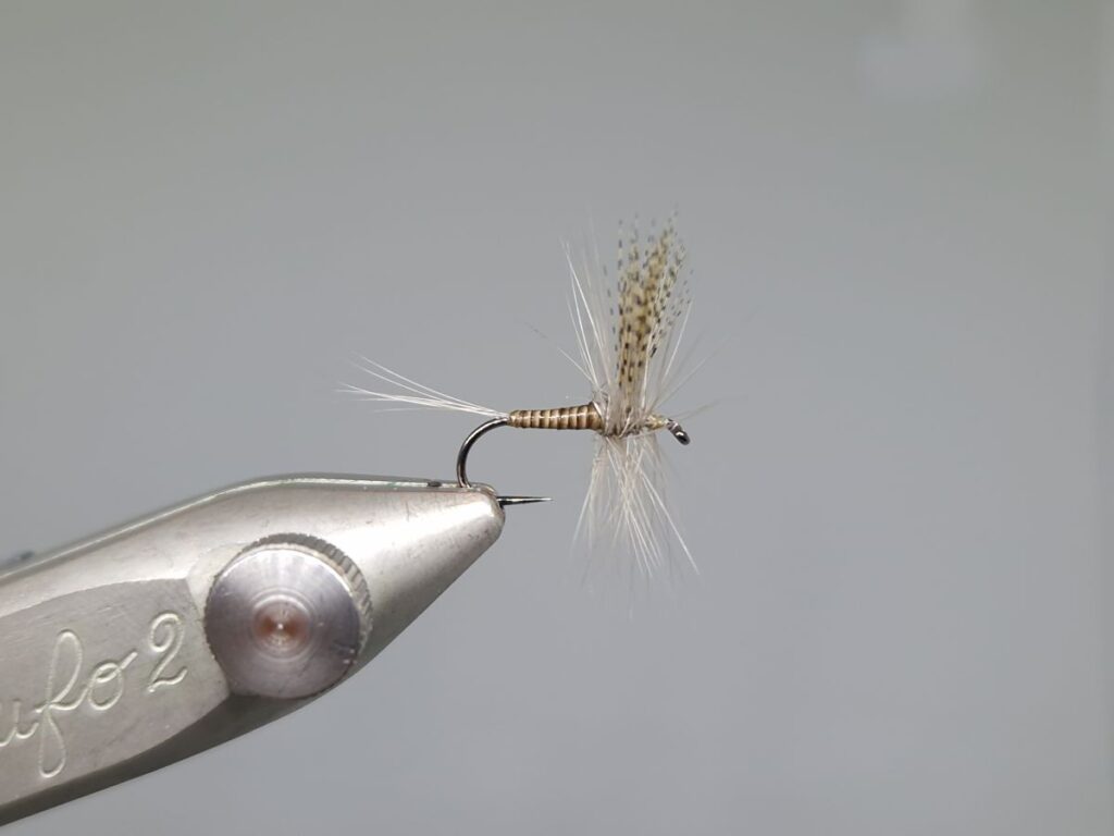 Quill Gordon Dry Fly